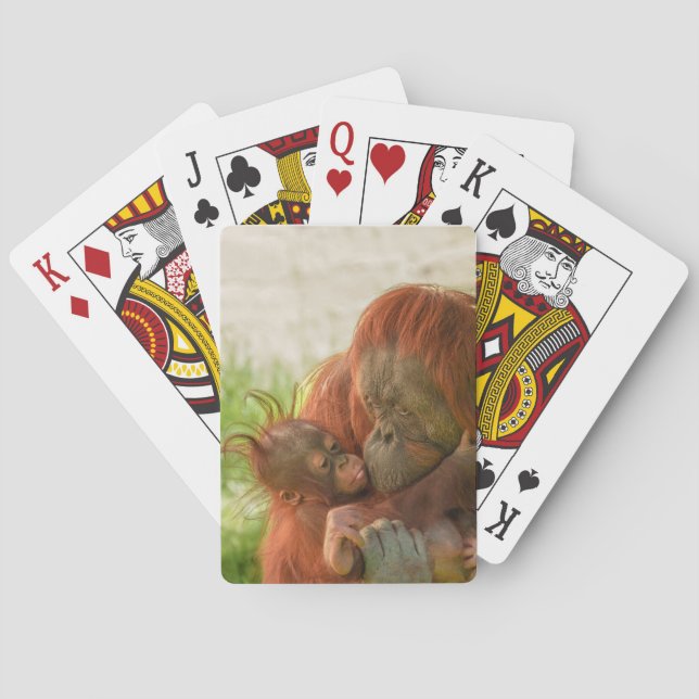 Jeu De Cartes Mère Orangoutan Moments de tendresse (dos)