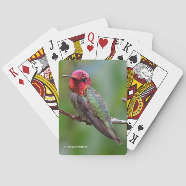 Jeu De Cartes Merveilleux colibri d'Anna sur un arbre fruitier (dos)