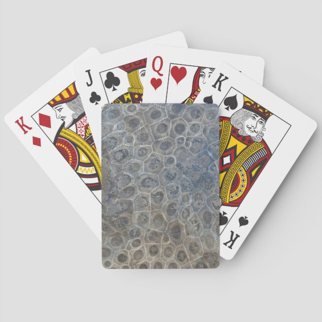 Jeu De Cartes Michigan Petoskey Stone Design (dos)