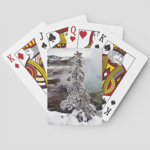 Jeu De Cartes Milou Yellowstone