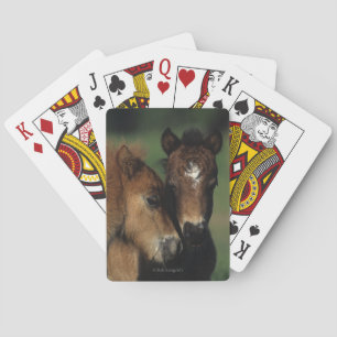 Jeu De Cartes Miniature Foals 2