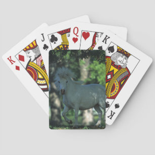 Jeu De Cartes Miniature Horse Standing in the Trees