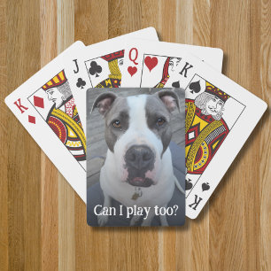 Jeu De Cartes Modèle de photo complète pour animal de compagnie
