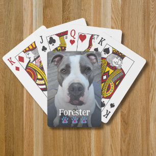 Jeu De Cartes Modèle de photo pleine mémoire d'animal de compagn