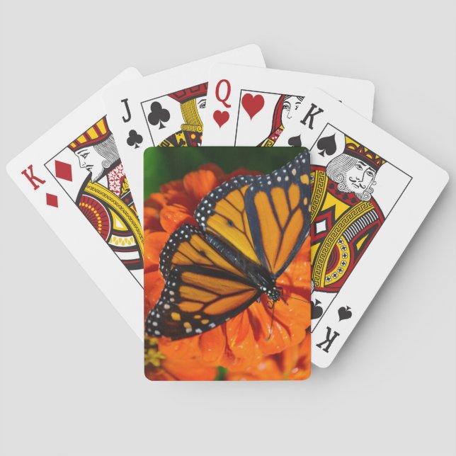 Jeu De Cartes Monarque (dos)
