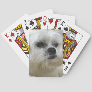 Jeu De Cartes Mookee le chien de Lhasa Apso