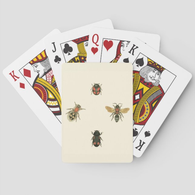 Jeu De Cartes Mouches et coléoptères par Vision Studio (dos)