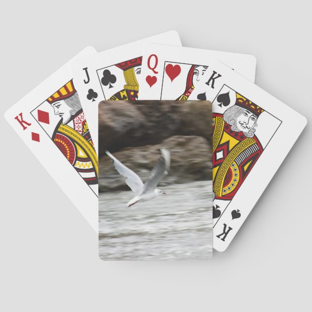 Jeu De Cartes Mouettes Jouant Des Cartes (dos)