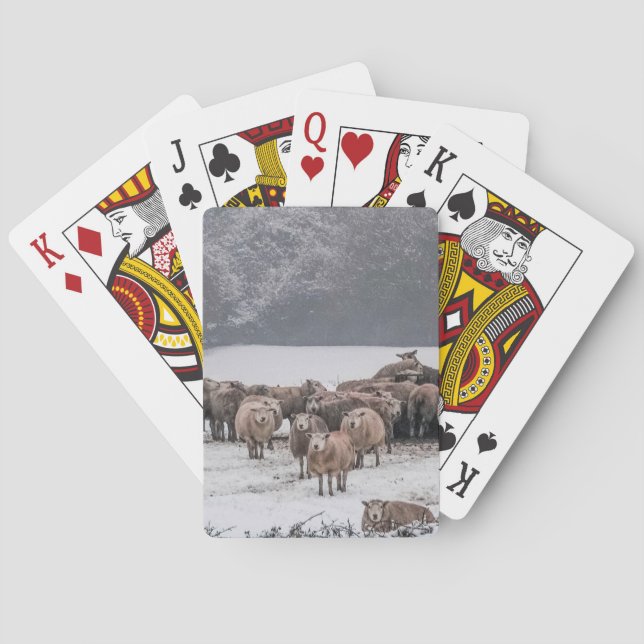 Jeu De Cartes Mouton (dos)