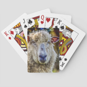 Jeu De Cartes Moutons