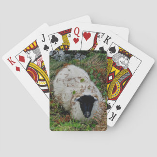 Jeu De Cartes Moutons de Dartmoor dans la dissimulation