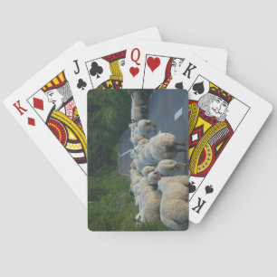 Jeu De Cartes Moutons Jouer aux cartes