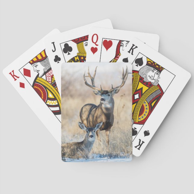 Jeu De Cartes Mule Deer Buck et Doe (dos)