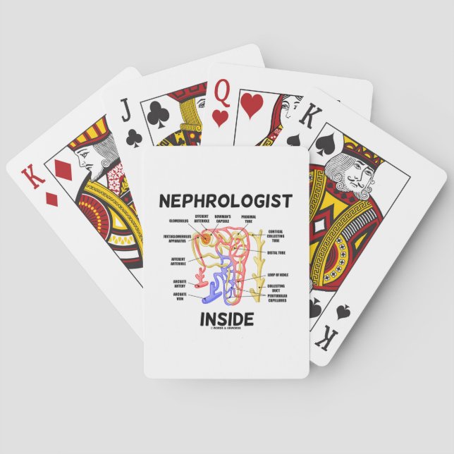Jeu De Cartes Néphrologiste à l'intérieur (Néphron du rein) (dos)