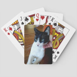 Jeu De Cartes Nero le chat - Cartes à vélo