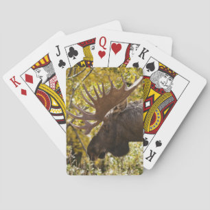 Jeu De Cartes Noble taureau