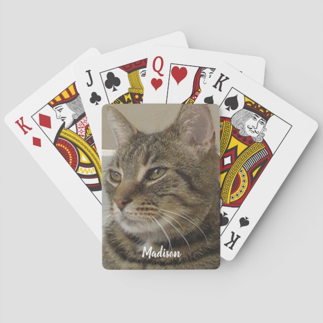 Jeu De Cartes Nom de la photo du chat Cute Tabby (dos)