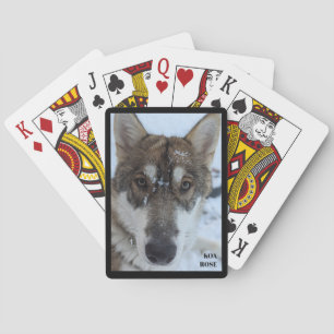 Jeu De Cartes Nom Wolf Jouer des cartes