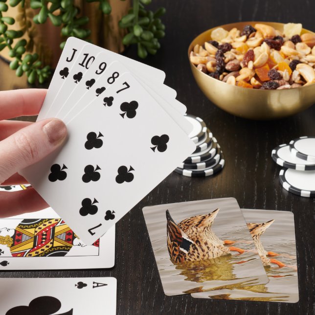 Jeu De Cartes Nourriture de canard de Majard sous l'eau (In Situ)