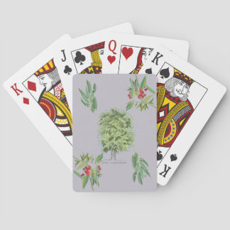 Jeu De Cartes Novo ilustração botãnica árvore Claraíba lilás