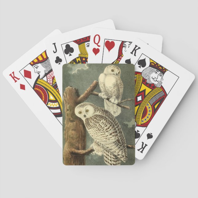 Jeu De Cartes OEuvre d'OEuf Audubon (dos)