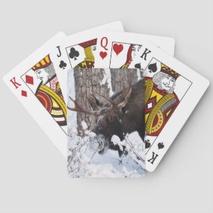 Jeu De Cartes Oie chilienne
