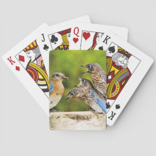 Jeu De Cartes Oiseau bleu oriental