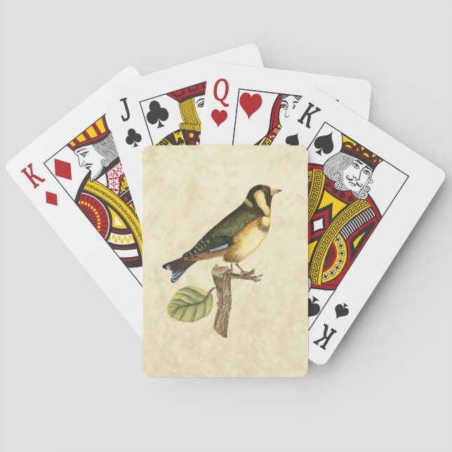 Jeu De Cartes Oiseau jaune et vert perché sur une petite branche (dos)