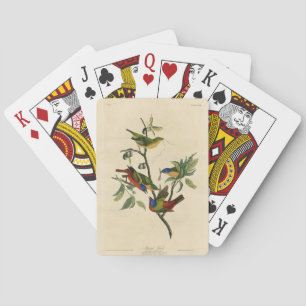 Jeu De Cartes Oiseaux d'Amérique d'Audubon