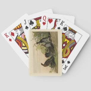 Jeu De Cartes Oiseaux d'Amérique du Grouse Audubon tacheté (épin