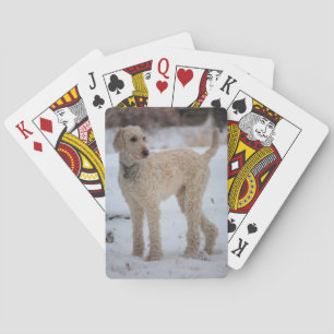 Jeu De Cartes Ollie