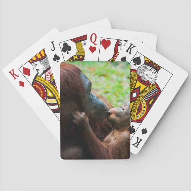 Jeu De Cartes Orangutan mother et baby (dos)