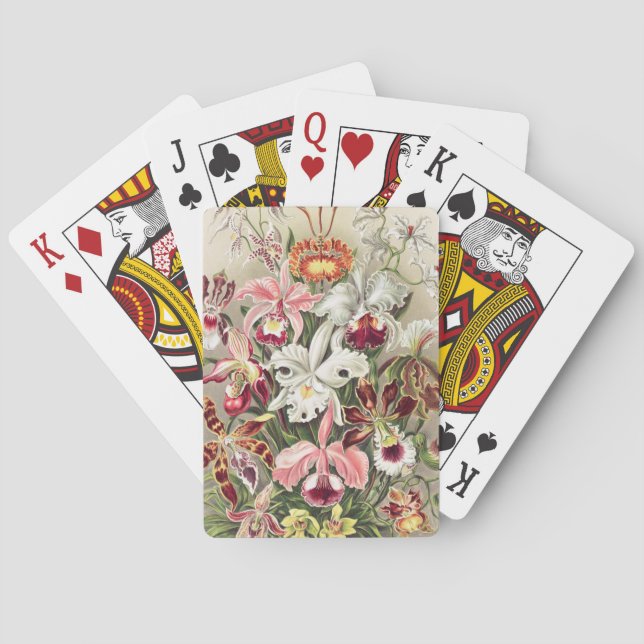 Jeu De Cartes Orchidées, Orchidées Denusblumen par Ernst Haeckel (dos)