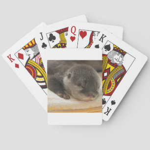 Jeu De Cartes Otter endormi