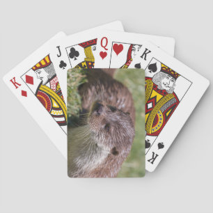 Jeu De Cartes Otter eurasien se reposant sous le soleil