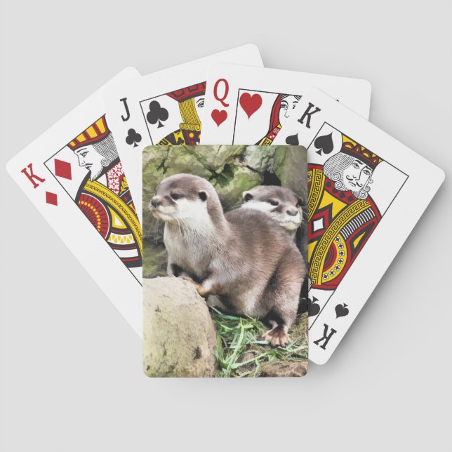 JEU DE CARTES OTTERS (dos)