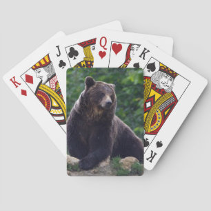 Jeu De Cartes Ours Brown