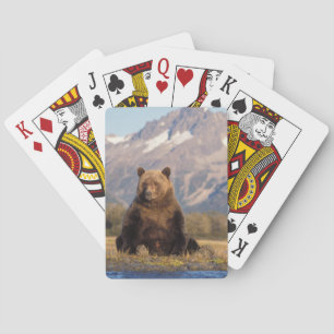 Jeu De Cartes ours brun, Ursus arctos, grizzly, Ursus