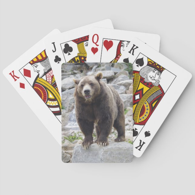 Jeu De Cartes Ours kodiak (dos)