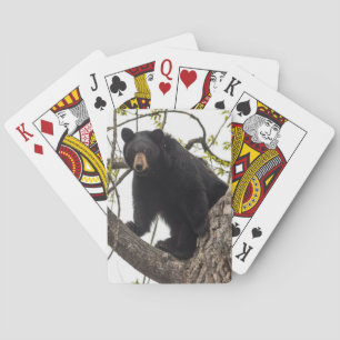 Jeu De Cartes Ours noir s'élevant