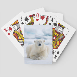 Jeu De Cartes Ours polaire adulte sur la banquise estivale