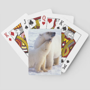 Jeu De Cartes Ours polaire femelle avec ourson, meute