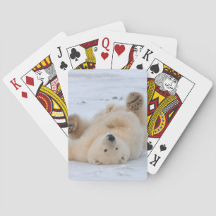 Jeu De Cartes ours polaire, Ursus maritimus, ourson roulant 3