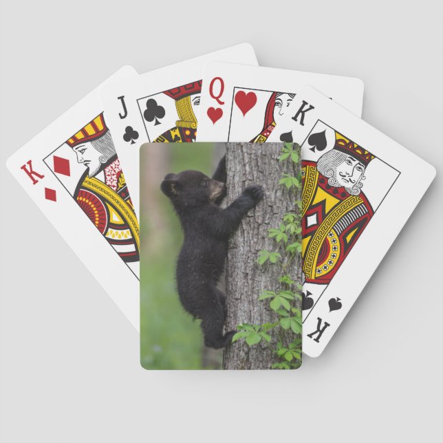 Jeu De Cartes Ourson escaladant un arbre (dos)
