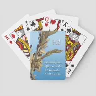 Jeu De Cartes Outer Banks Caroline du Nord Folle avoine