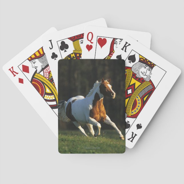 Jeu De Cartes Paint Horse Running Fast (dos)