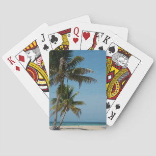 Jeu De Cartes Palmier et plage de sable blanc