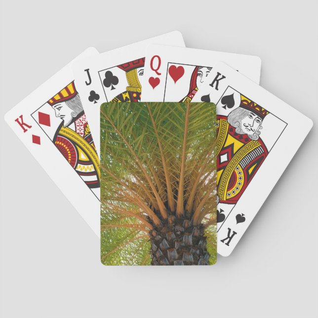 Jeu De Cartes Palmier sous terre (dos)