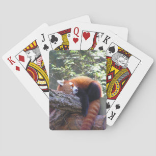 Jeu De Cartes Panda