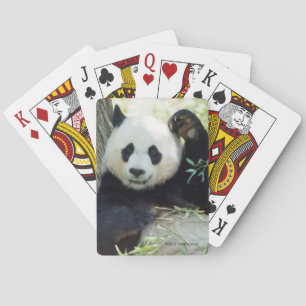 Jeu De Cartes Panda géant se reposant contre l'arbre